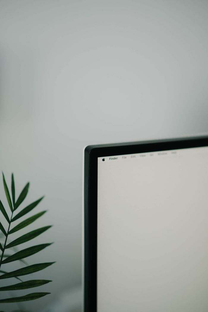 A sleek computer monitor beside a green plant on a minimalistic desk, promoting a calm workspace.